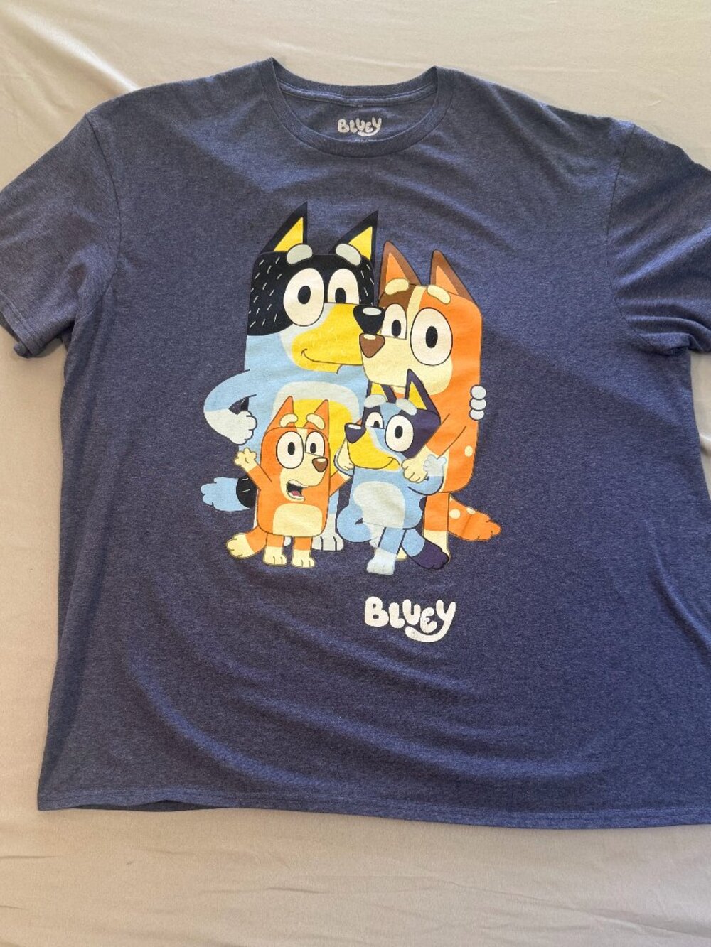 Bluey Men's Bluey Graphic Print Tee Shirt Heather Blue Size 2XL